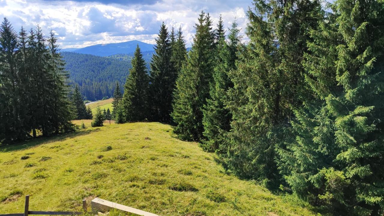 Lidia Chalets Polyanitsa Popovichevskaya Exterior foto